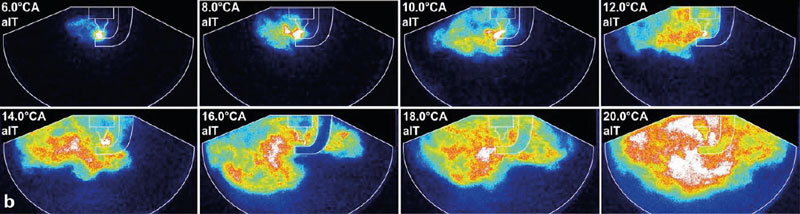 Endoscopic imaging