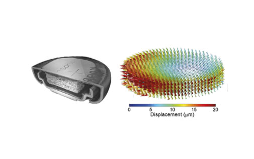 Digital Volume Correlation (DVC)