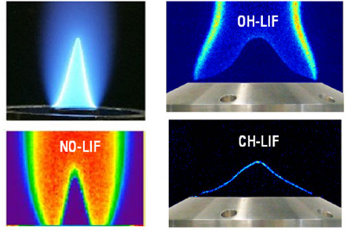 Tunable LIF-flame species