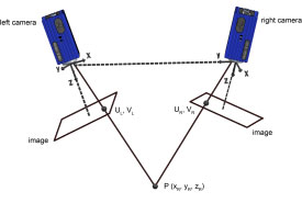 2D-/3D Stereo Digital Image Correlation